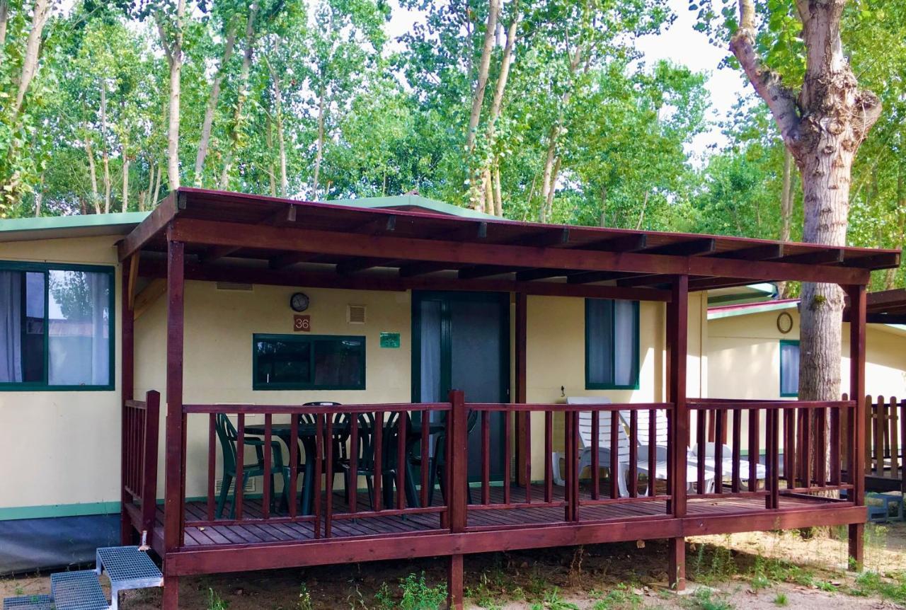 Camping Village Punta Navaccia Tuoro sul Trasimeno Exterior photo